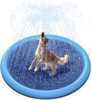 Picture of Splash Sprinkler Pad for Dogs